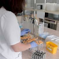 lab tech working in a lab with test samples